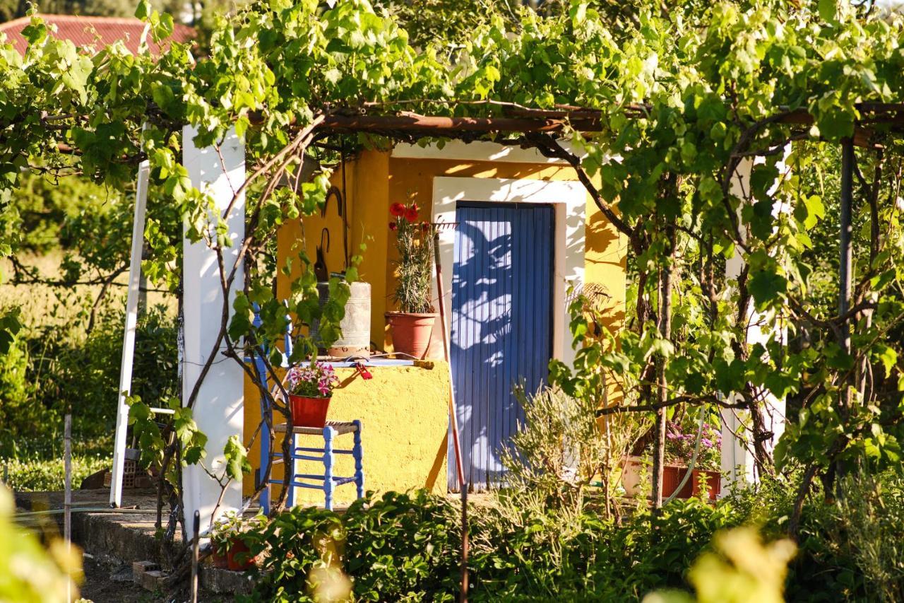 Villa Doreta Ρόδα Εξωτερικό φωτογραφία