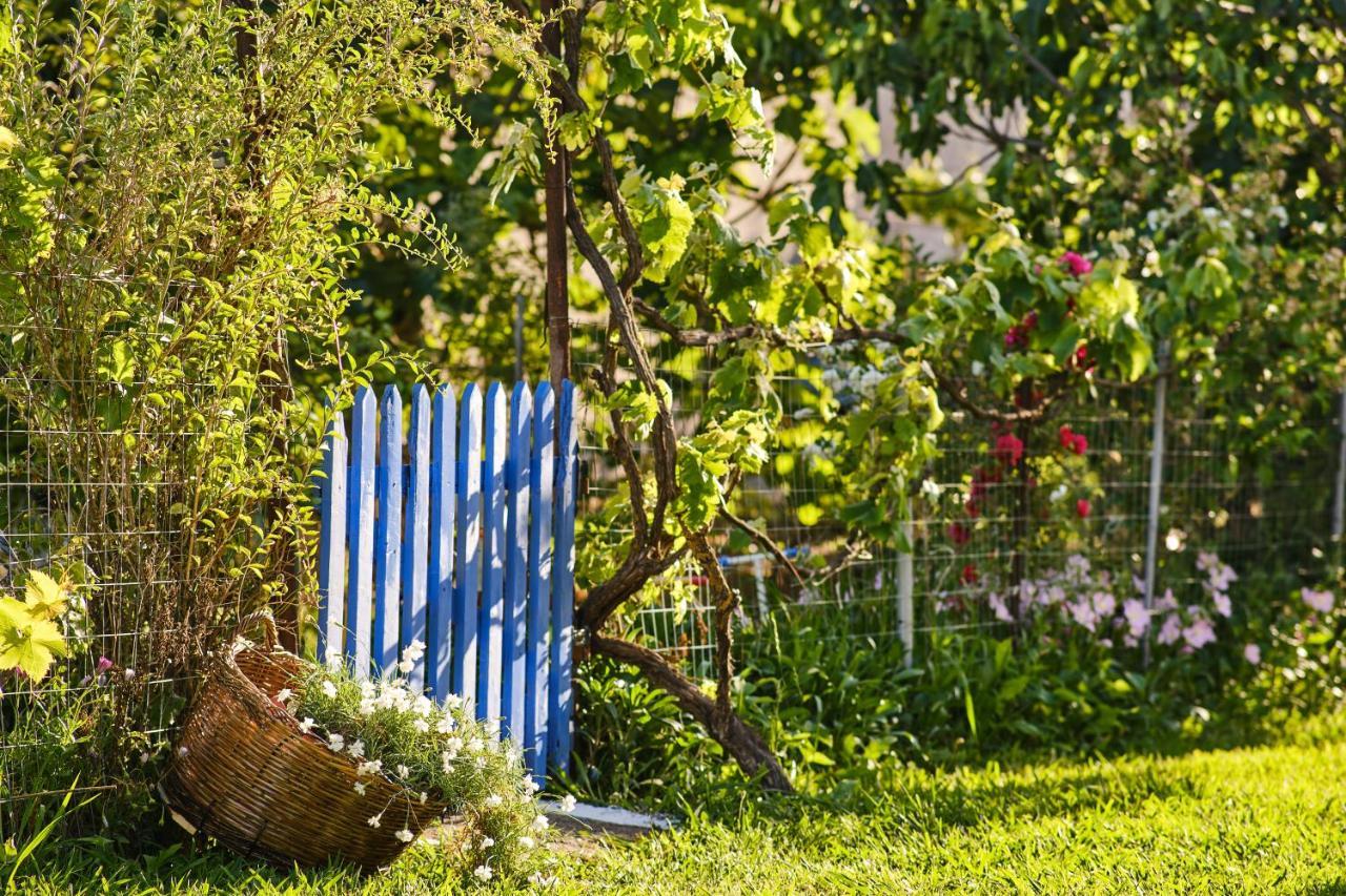 Villa Doreta Ρόδα Εξωτερικό φωτογραφία